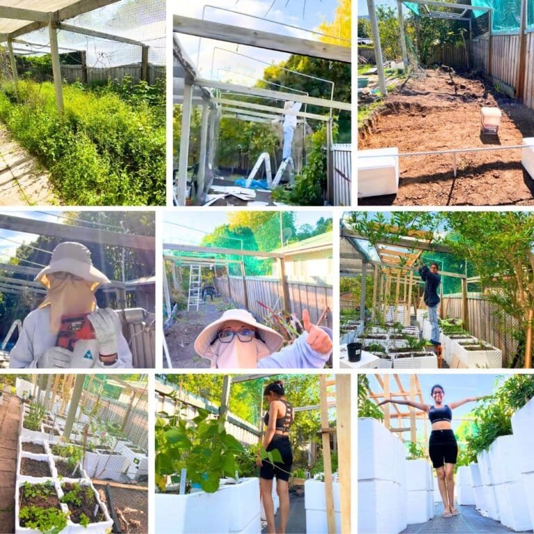 Varsha Paramaser shows how she built her zero cost organic wicking container garden with basic supplies and free resources.