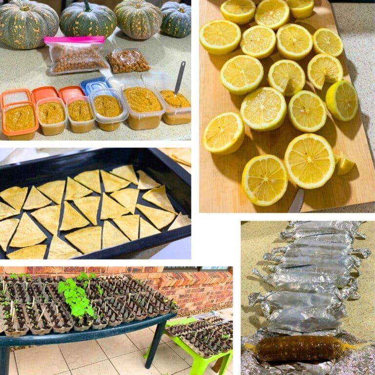 Homemade food preparation and organic gardening by Varsha Paramaser, featuring bulk-prepped vegan hummus, homemade tortilla chips, spicy vegan sausages, frozen lemon cubes, and seedlings for an organic garden.